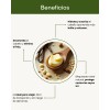 Acondicionador Sólido Vainilla Desenredante - Nuneth, 50gr