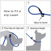 Tifereth Slip-Lead Dog-Leash Medium-Training Rope - 6ft Foot Big Large
