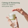 Pyunkang Yul Pyunkang Yul [PKY Calming Moisture Barrier Cream Instantly