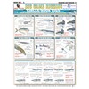 Tightlines Big Game Bait Rigging Circle Hooks 6