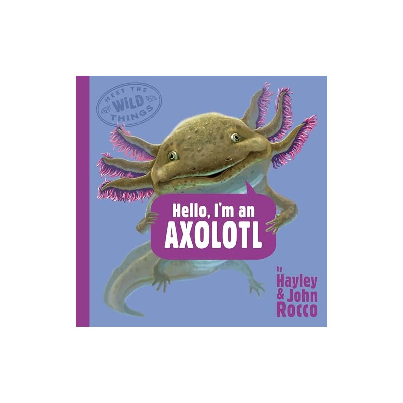 Hello, I'm an Axolotl (Meet the Wild Things, Book 4)