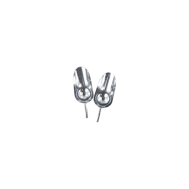 2pcs Ice Scoop Metal Ice Scooper Multipurpose Kitchen Utility Scoops