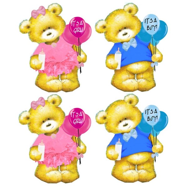 It's a Boy and It's a Girl Bear Craft Teddy