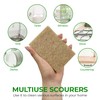 AIRNEX Biodegradable Scrubbing Pads for Dishes - Pack of 24