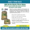 EasyPro Pond Products EBS Barley Straw Bale for Ponds and
