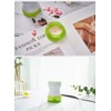WOWHOUSE Plastic Storage Box (Green)