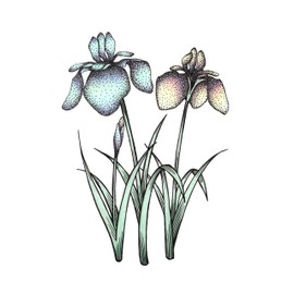 Copic Sketch, Alcohol-based Markers, 5 pcs + Multiliner Pen SP, Blending Basics