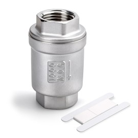 Bwintech 1 x check valve, 1 inch BSP female thread, stainless steel, 304 vertical inline check valve with spring, backflow prevention