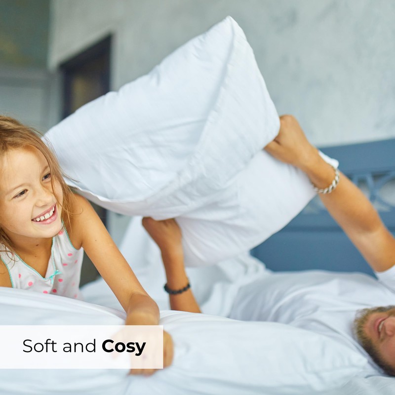 Standard Size Pillow Cases Set of 4 - Extra Soft