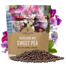 Sweet Pea Seeds Heirloom Mix - Bulk 1 Ounce Packet - Over 350 Seeds - Large Fragrant Lavender, Purple, Red, Pink and White Blooms