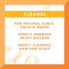 Shea Butter Sulfate free Cleansing Cream Shampoo by Cantu for