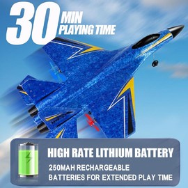 RC Plane Remote Control Glider Airplanes 2.4 GHZ 2 Channels, Easy to Fly RC Fighter, Remote Control Aircraft with Automatic Balance Gyro for Adult Kids BeginnerÔºåspringtok Jet:_F22 Blue