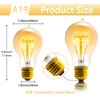 Sevici Edison Bulb, A19 Bulbs 6 Pack, Retro Style Incandescent