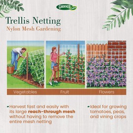 Gardeneer by Dalen Plant Growth Trellis Netting – Nylon Mesh Gardening Net for Vertical Growing Crops – Vegetables & Fruits Cultivation (5′ x 30′)