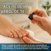 Nexon Botanics Aceite de árbol de té orgánico 30 ml
