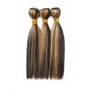 BilltiiWW Ombre P1B27 Straight Bundles Black Mixed With Blone Straight