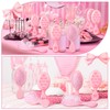 Skylety 12 Pcs Pink Coquette Hair Brush Coquette Bow Hair