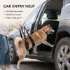 Adjustable Dog Rear Leg Lift Harness – Padded Hind Leg