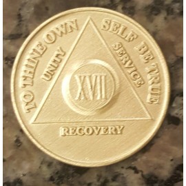 Alcoholics Anonymous 17 Year Recovery Coin Chip Medallion Medal Token AA Bronze