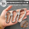 Wlikn Carabiner 304 Stainless Steel, Load Capacity 440.1 lbs (200