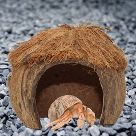 Hideout for Hermit Crabs, Reptiles, Natural Habitat Cage Decoration, 4 x 5 Inches (Coconut Tiki Hut)
