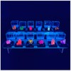 Ultimate Fluorescent Minerals Collection, 12 Rare Glowing Stones Set with