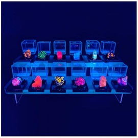 Ultimate Fluorescent Minerals Collection, 12 Rare Glowing Stones Set with UV Flashlight and Display Stand, STEM Geology Science Gift for Students and Collectors