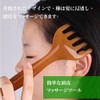 2 Pcs Scalp Massage Comb Handheld Head Massager for Scalp