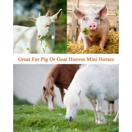 8 inch Farrier Tool Kits （7 Piece） Mini Rasp Hoof File Goat Pig Equine Metal Shears Professional Farriers Hoof Nipper Cutter Handle Knife