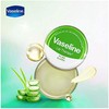 Therapy Lip Balm, Aloe Vera 0.6 oz (Pack of 2)_AB