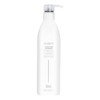ALOXXI Clarifying Shampoo, 10.1 Fl Oz