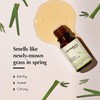 AROMAFUME Lemongrass Essential Oil - 100% Natural, Therapeutic Grade Essential
