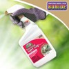 Bonide Captain Jack's Insecticidal Super Soap, 32 oz Ready-to-Use Spray