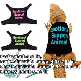 Bearded Dragon Clothes with Leash Set - Handmade Reptile Apparel for Small Pets, Guinea Pigs, and Lizards - Outdoor Walking Training Harness & Photo Prop Costume (Blue)