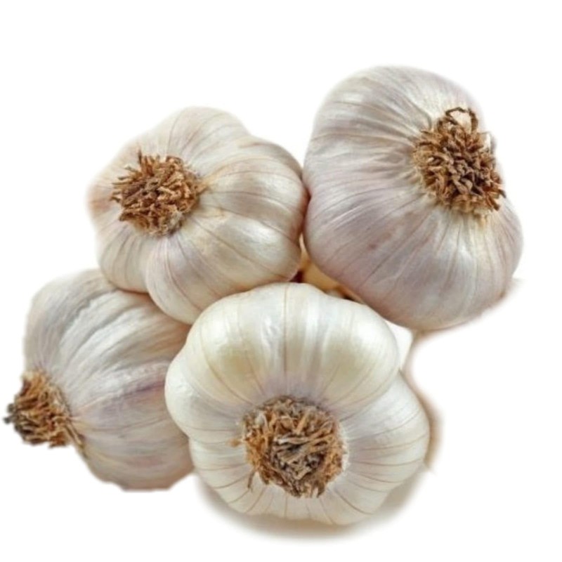 Humis Crispy Fried Garlic Flakes | 160 Gram |Fried Garlic
