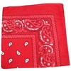 Pack of 5 X-Large Paisley Cotton Printed Bandana - 27