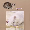 Cat Toy, Chewing Toy, Toothpaste, Bruxing Stick, Natural Safe, Chewing