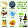 Suplemento Alimenticio Perro Probióticos Enzimas Digestivas