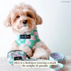 Lucy & Co. Cute Reversible Dog Harness Walking Halter -