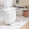 Humidifier 2L Capacity USB Charging Delicate Double Spray Humidifier with