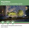 Paulmann Plug & Shine 94574 LED Outdoor Light Garden Spotlight