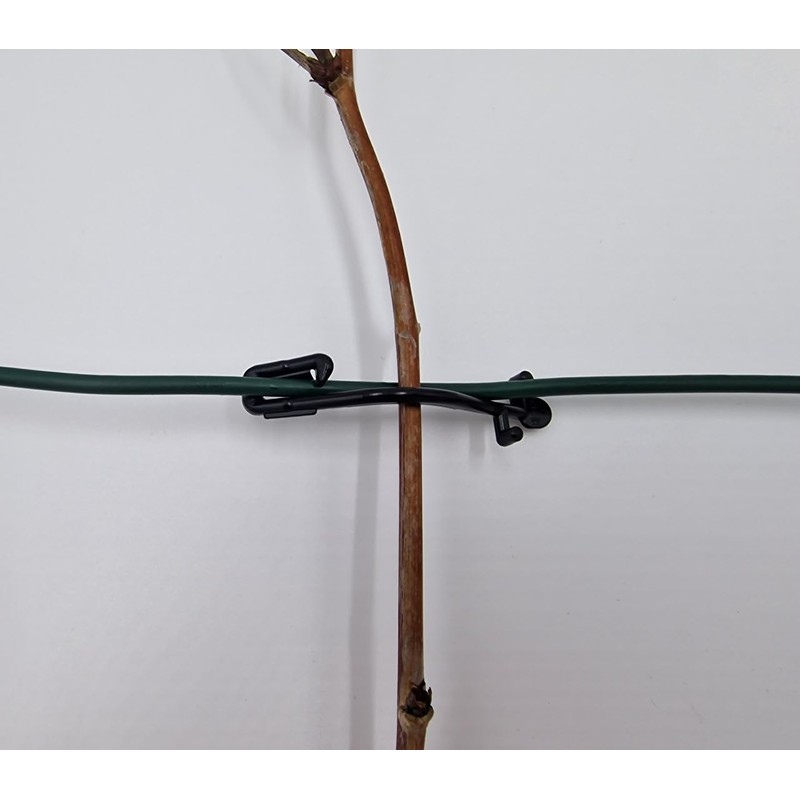 Raspberry Clip Wire Clip for Viniculture Berry Growing Pack of
