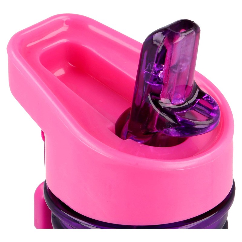 Princess Friendship Adventures Childrens Drinks Water Bottle Tritan Back to