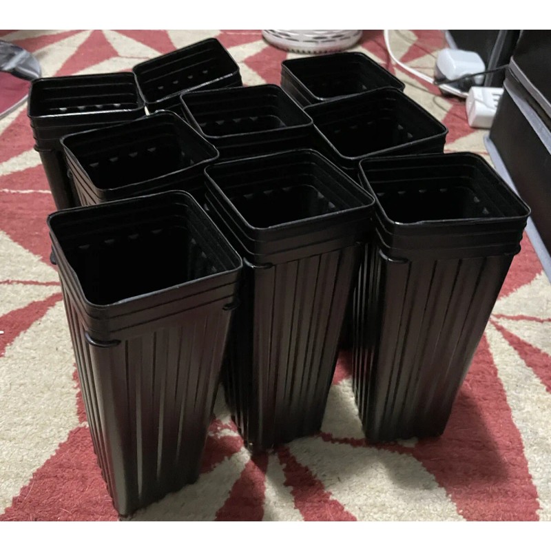 Stuewe & Sons (9) 3" x 8" Pots Treepots For
