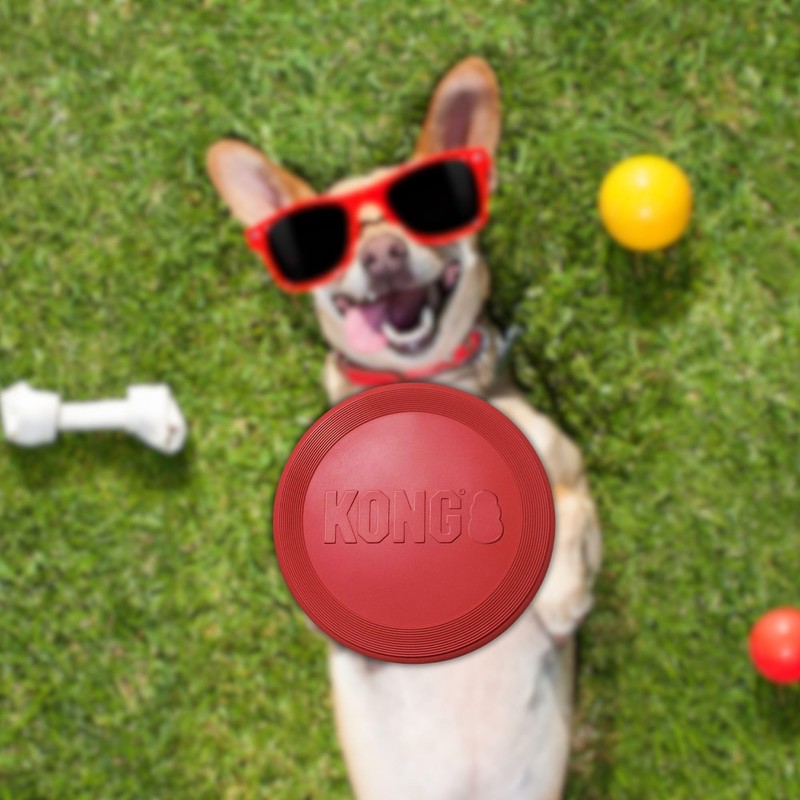 Kong Rubber Flyer,Large 2 Pack, Red