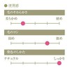 Kumano Brush (Cosmetic Brush) Takehodo Portable Slim Line Lip Brush