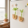 MITUKE Fridge Magnets, Vase Magnets, Test Tube Vase Magnet Storage