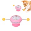Windmill Spring Interactive Cat Catnip Toy Funny Cat Turntable Teasing