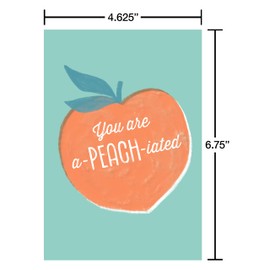 American Greetings 20-Count Teacher Appreciation Card Bundle with Envelopes and Seals