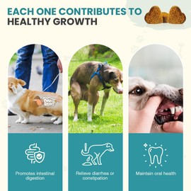 Probiotic Chews for Dogs Dental Care Digestive Wellness Fresh Breath Dog Probiotics for Healthy Gums Easy Chewable Supplement Prebiotics and Probiotics